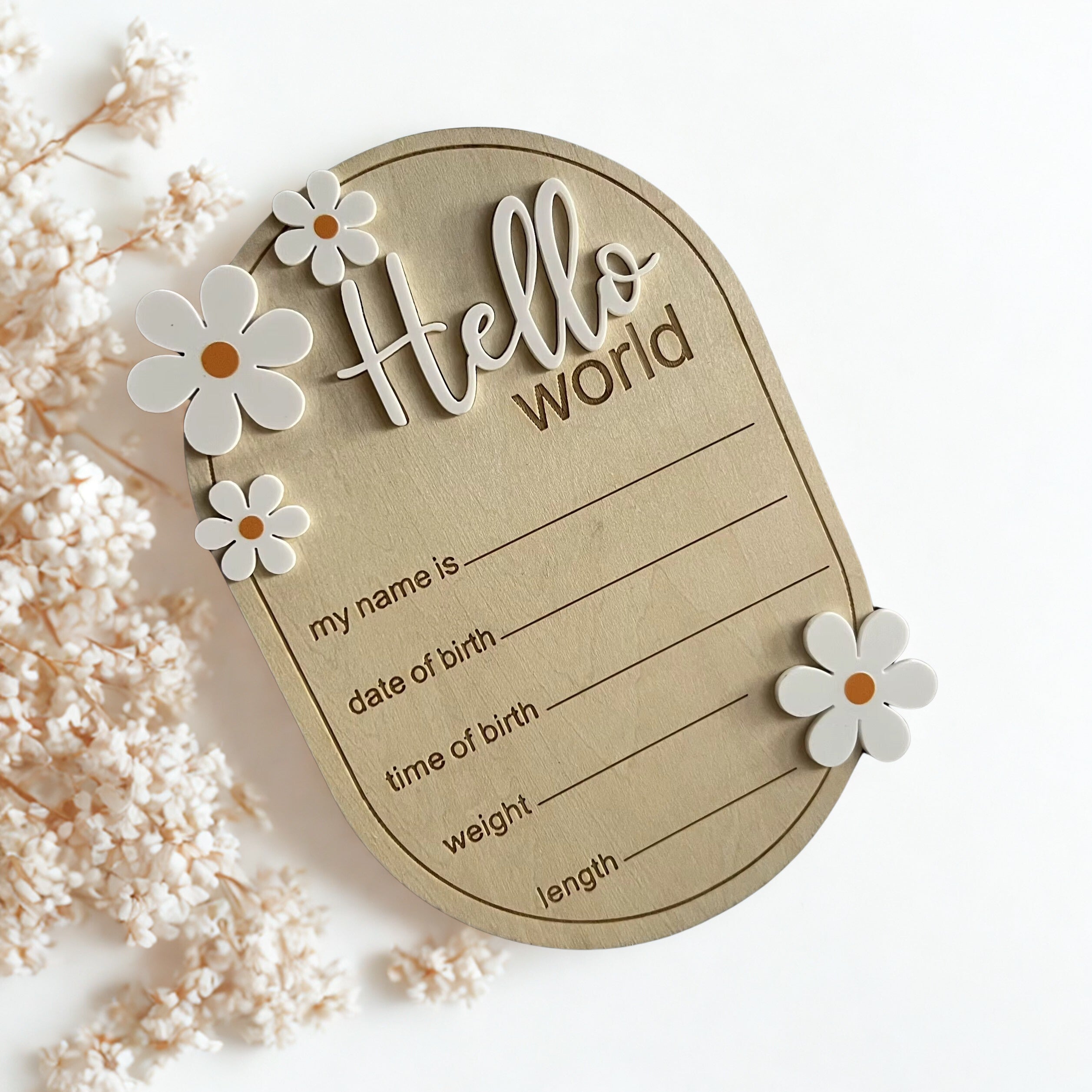 Hello World Birth Announcement Plaque
