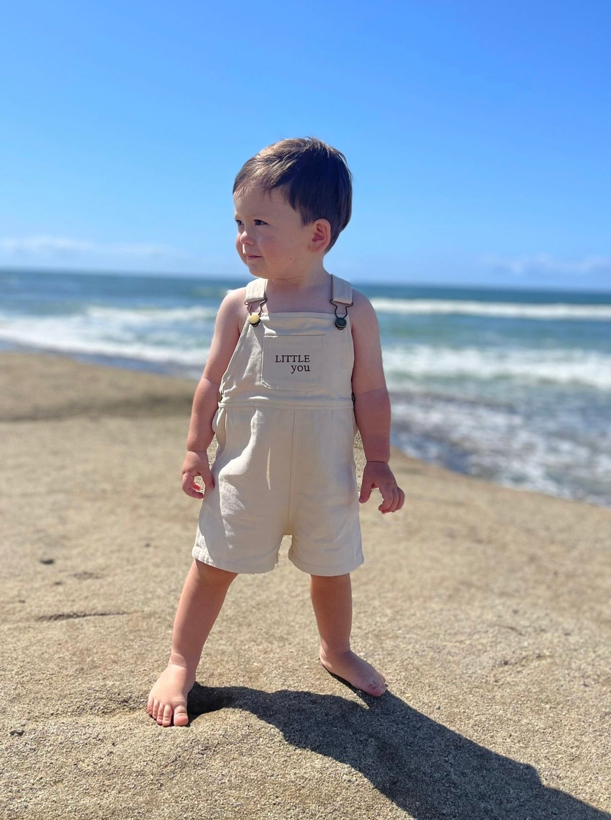 ARI OVERALL