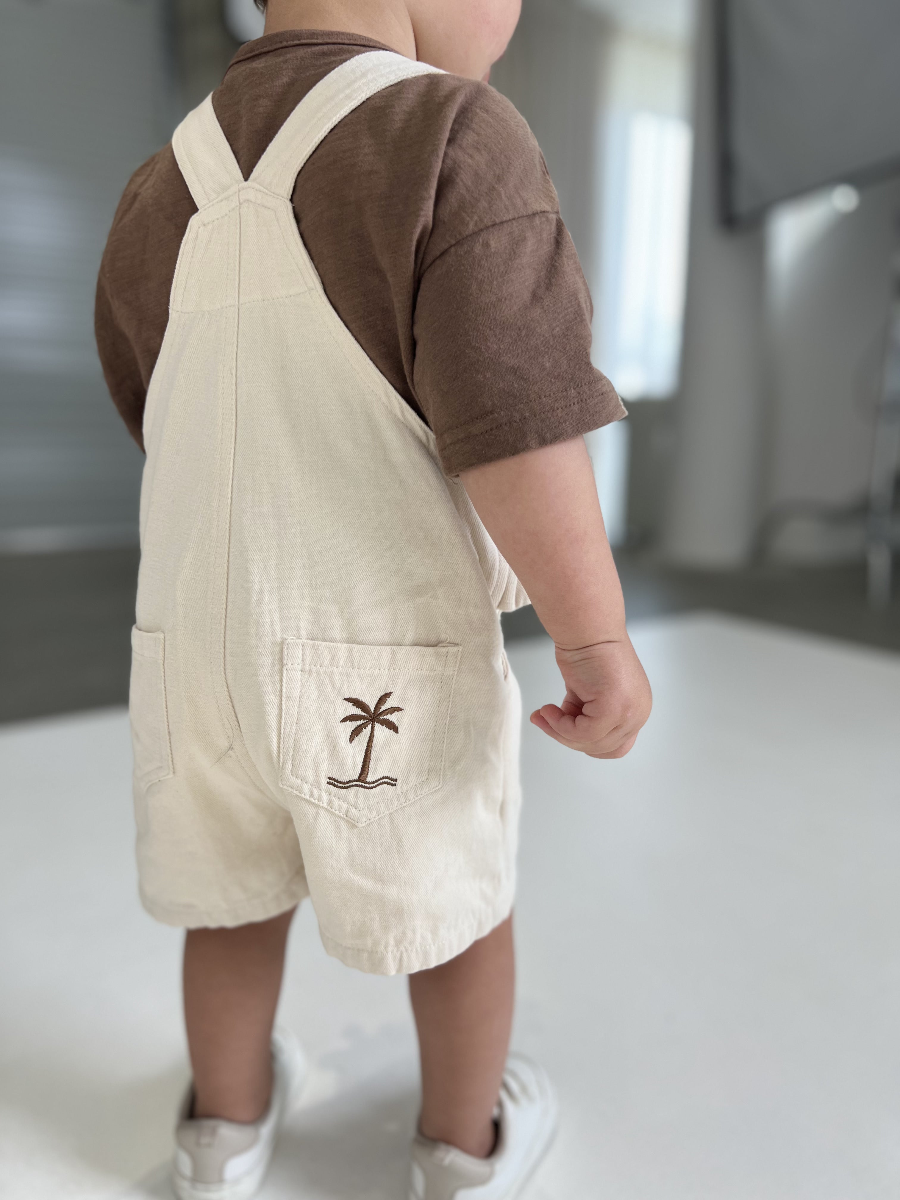 ARI OVERALL